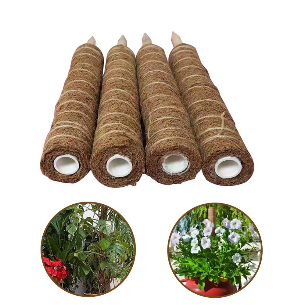Green radish coconut palm sticks