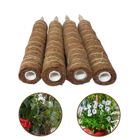 Green radish coconut palm sticks