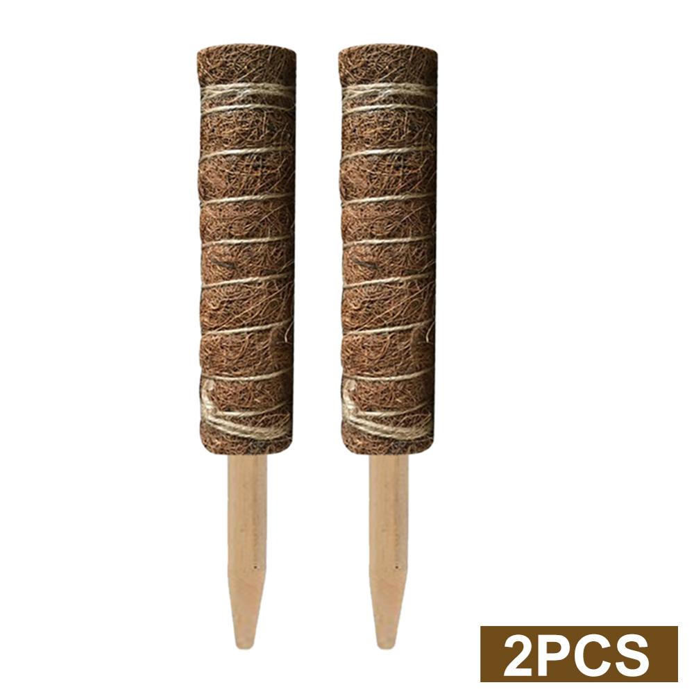 Green radish coconut palm sticks