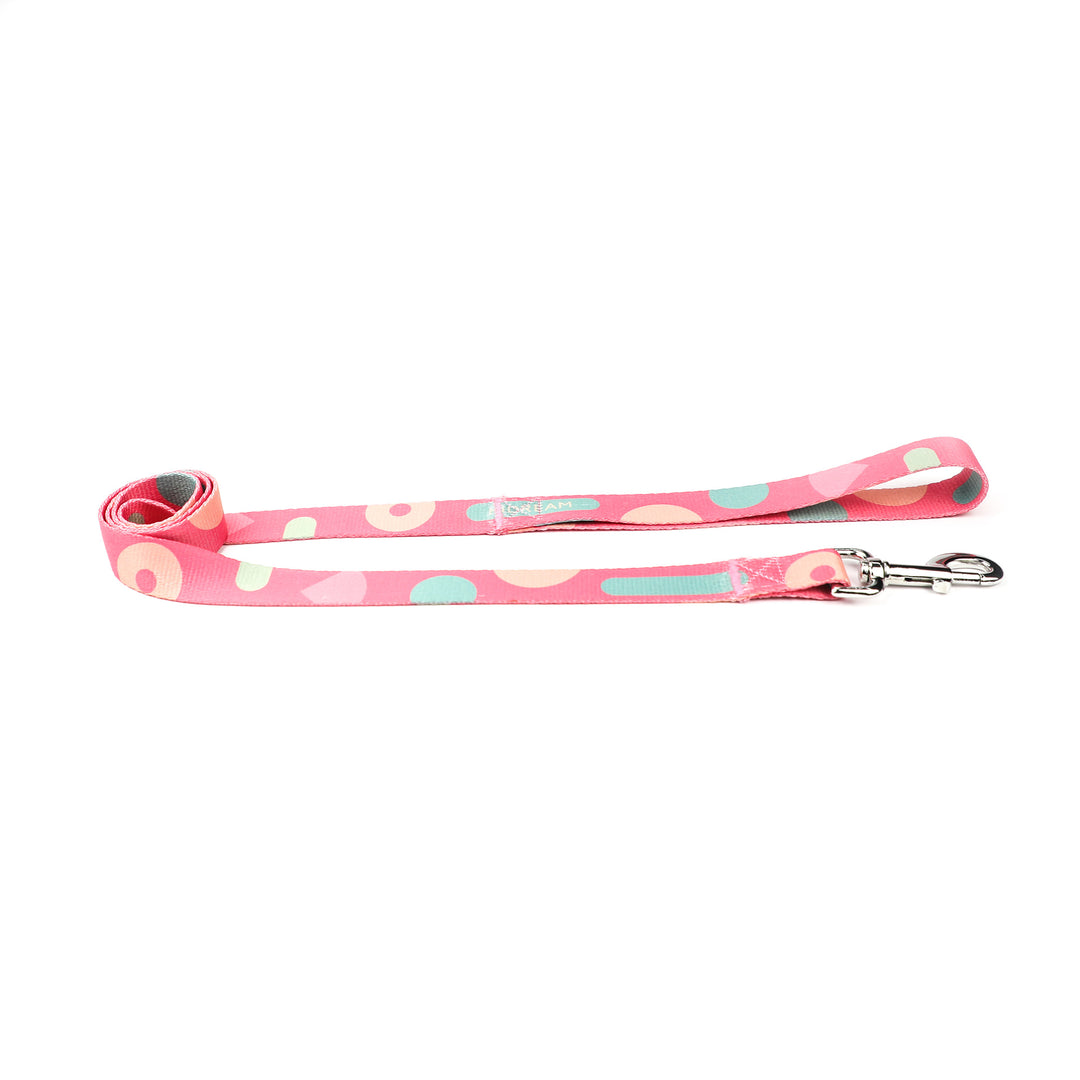 Pet traction belt