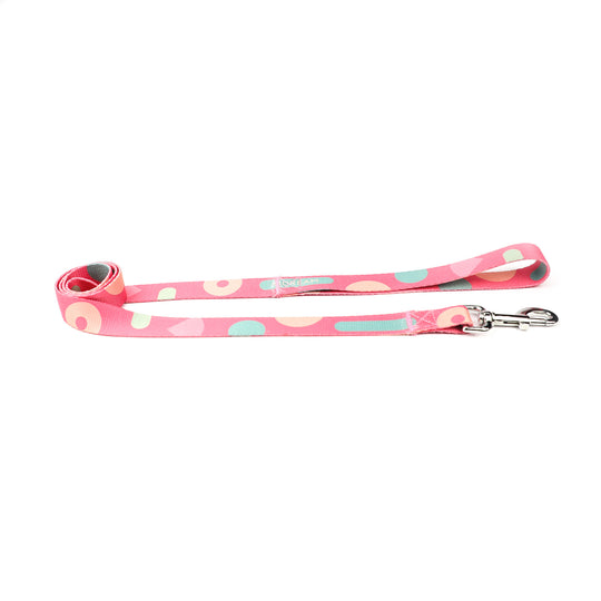 Pet traction belt