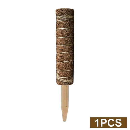 Green radish coconut palm sticks
