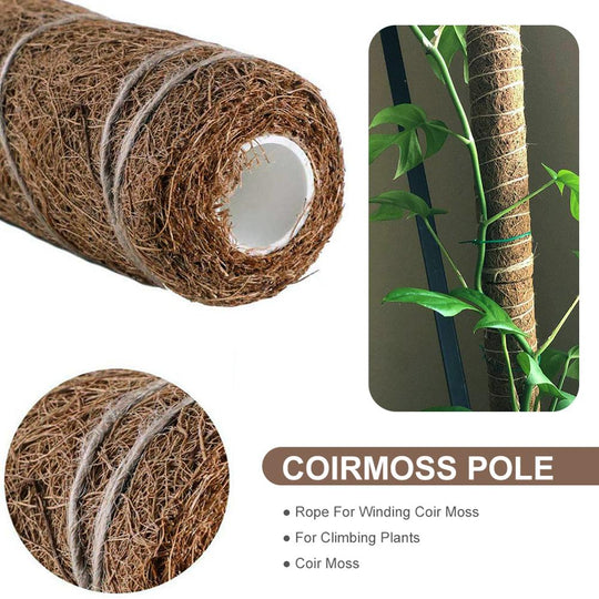 Green radish coconut palm sticks