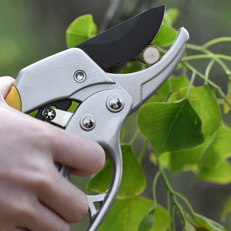 Labor-saving Fruit Tree Pruning Scissors