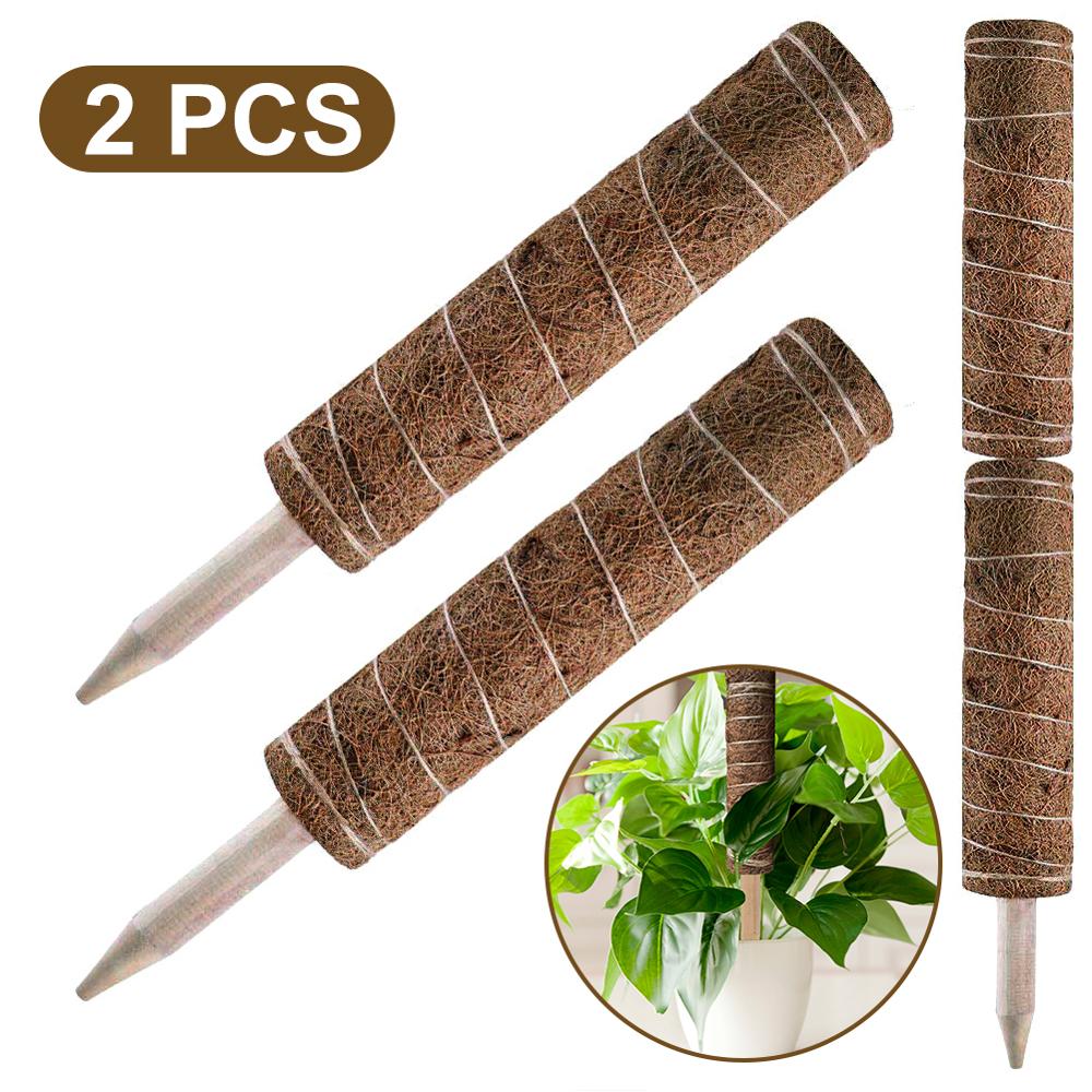Green radish coconut palm sticks