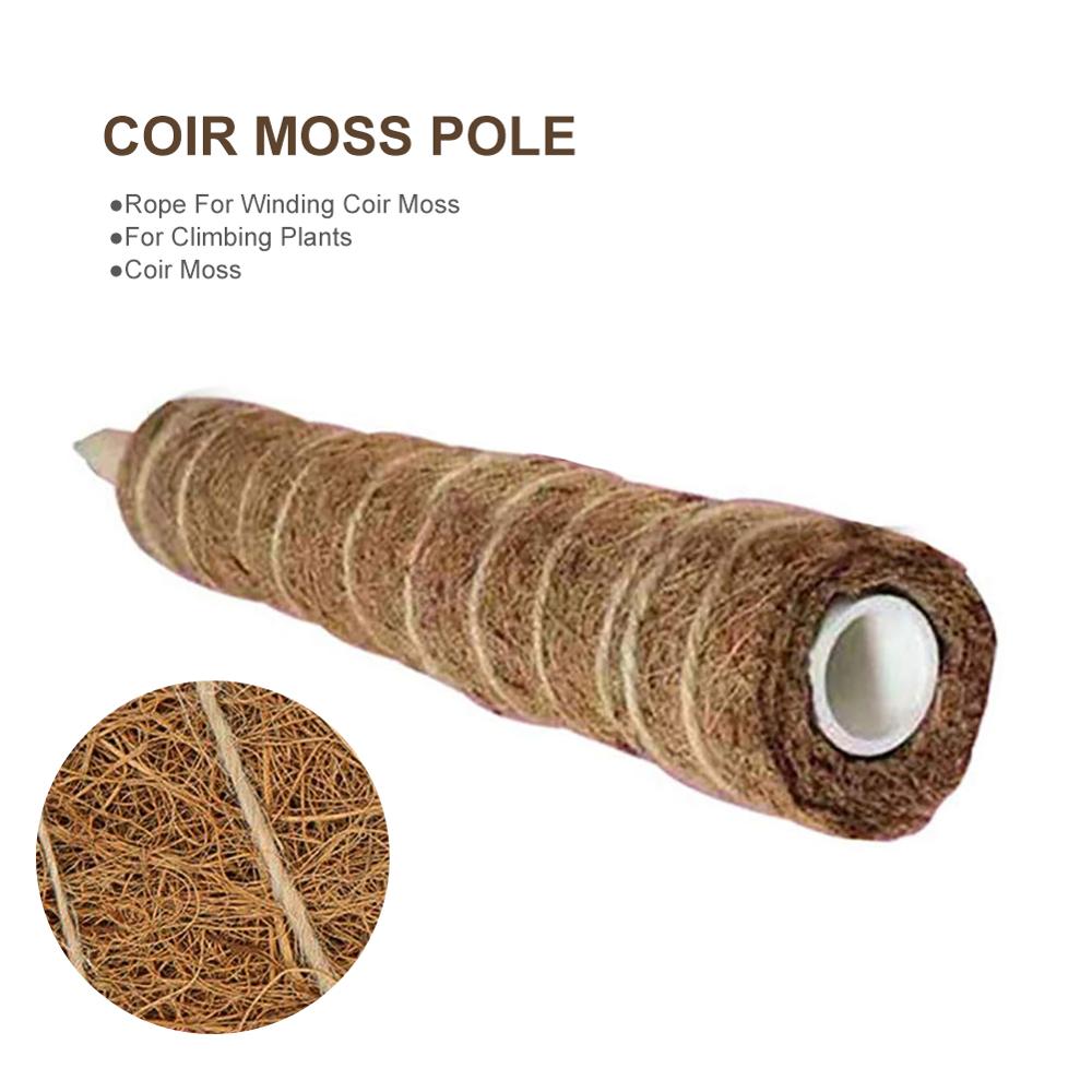 Green radish coconut palm sticks